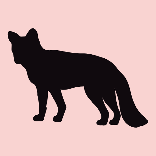 Les Kawaii et Mechkawaii